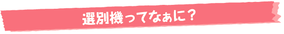 選別機ってなぁに？